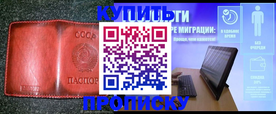 найти адрес прописки в Купино